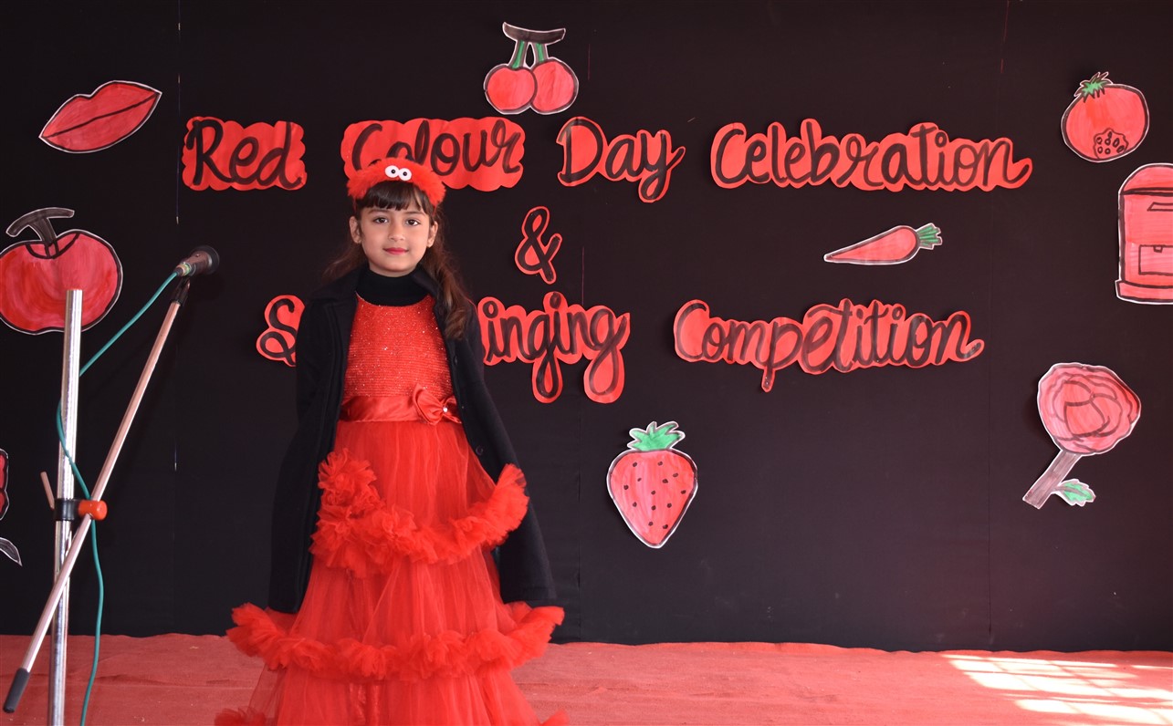 Red Colour Day Celebration